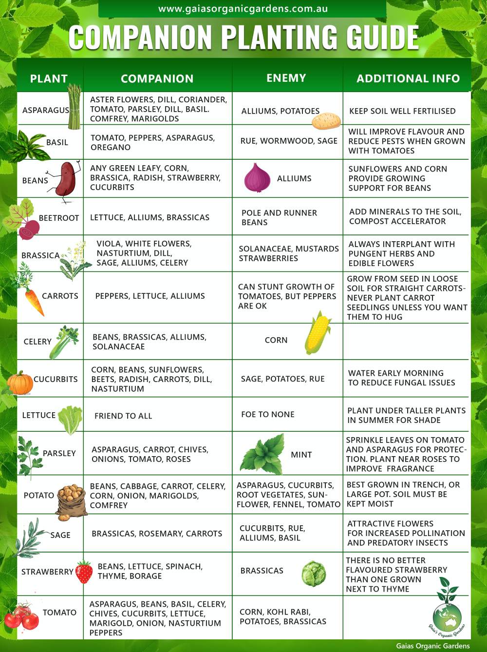 Companion Planting Guide - Gaias Organic Gardens 